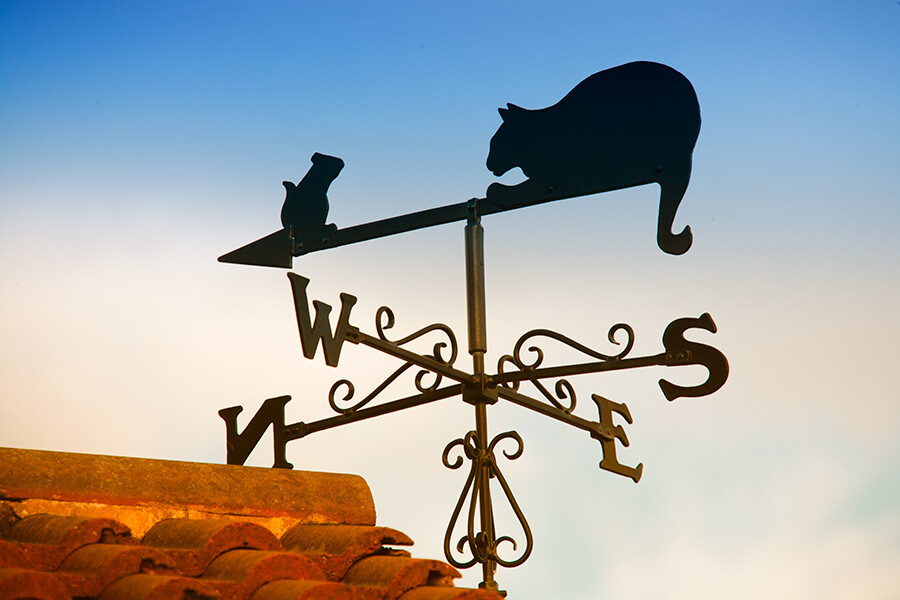 Cattery Sheffield and Chesterfield