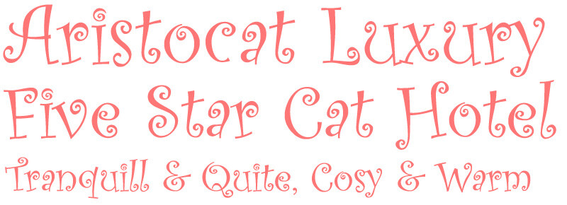 JJs Boarding Cattery