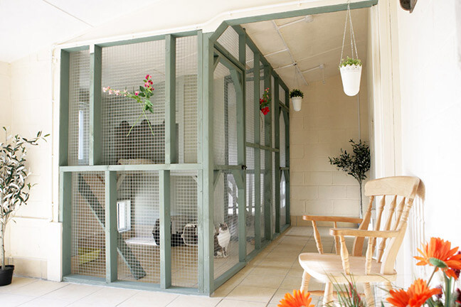 Aristocat Luxury Cattery Sheffield