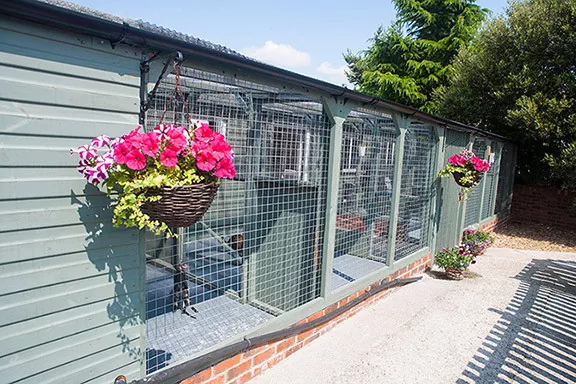 Cattery Hope Valley